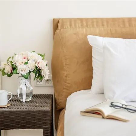 C1 - Ocakkoey Ovacik * フェティエ