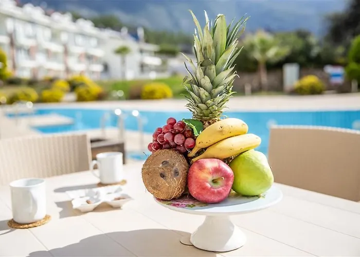 C1 - Ocakkoey Ovacik Apartament