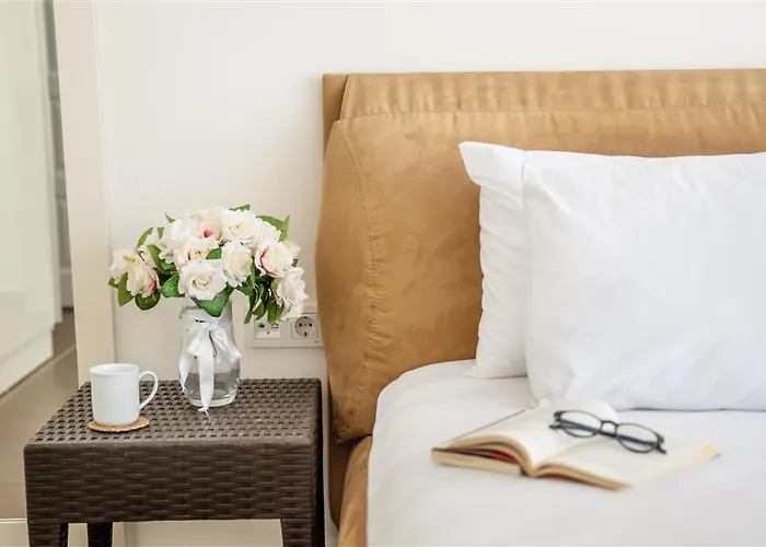 C1 - Ocakkoey Ovacik * 费特希耶